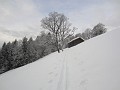 012_SAC Skitour Vilan Januar 2021